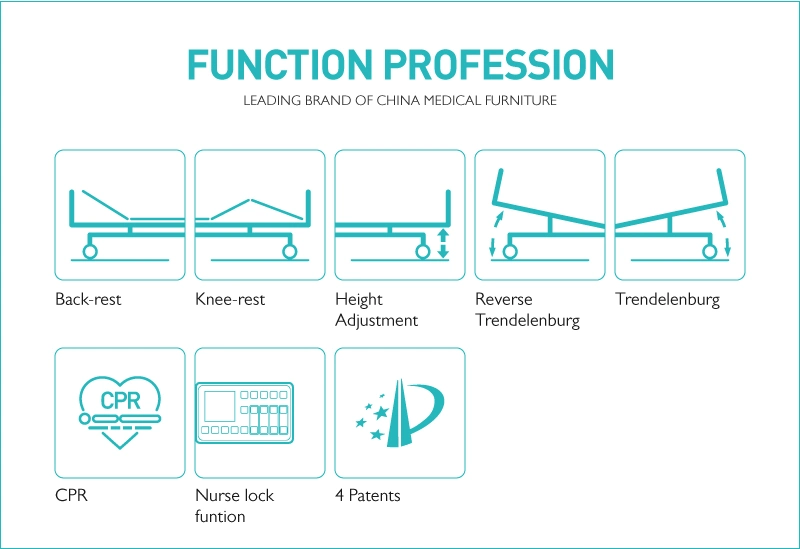 Sk001-15 Large Hospital 5-Function ICU Electric Medical Bed for Day Care