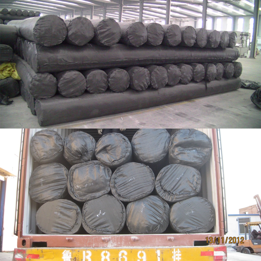 200GSM Needle Punched Polyester Pet Staple Fiber Nw Geotextile with Best Price