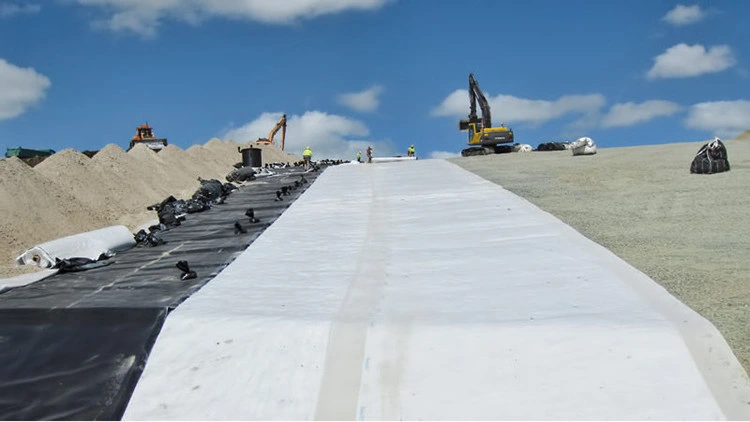 Waterproof HDPE Geomembrane Pond Liner for River Embankment Project in Singapore