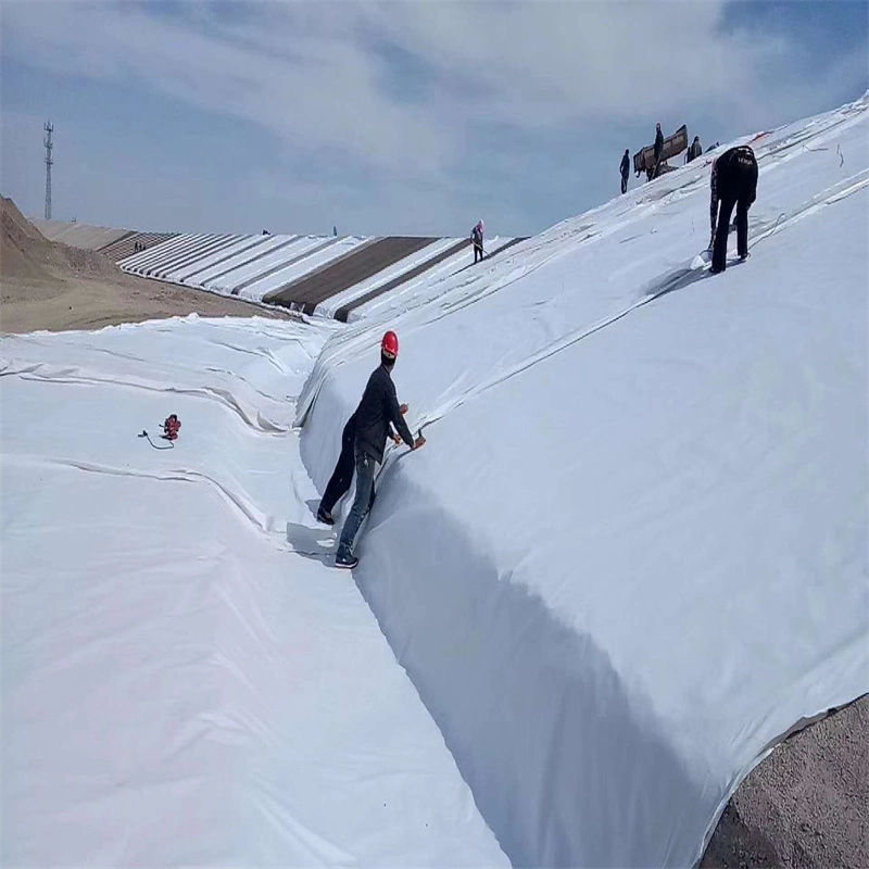 White Landscape Fabric Geo Fabric Nonwoven Geotextile Filter Cloth