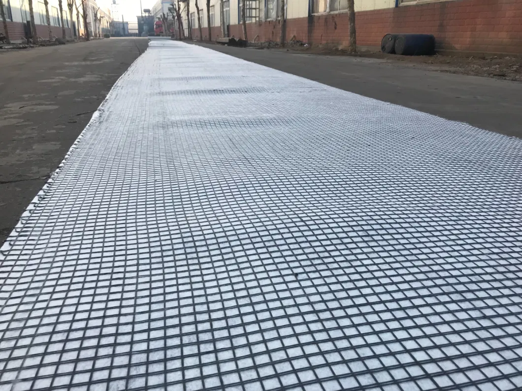 Compsoite Pet Geogrid with Geotextile Geocomposites for Asphalt Layers