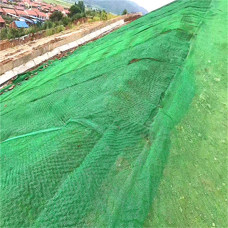 Grass Planting Plant Composite Protecting Layer Geocomposite Geotextile 3D Geomat for Drainage