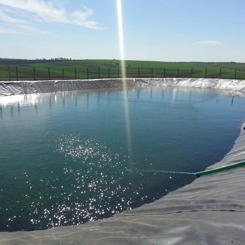 Factory Price 0.5mm 1mm 1.5mm 2mm HDPE Geo Membrane Geomembrane Dam Fish Farm Tank Pool Pond Liner