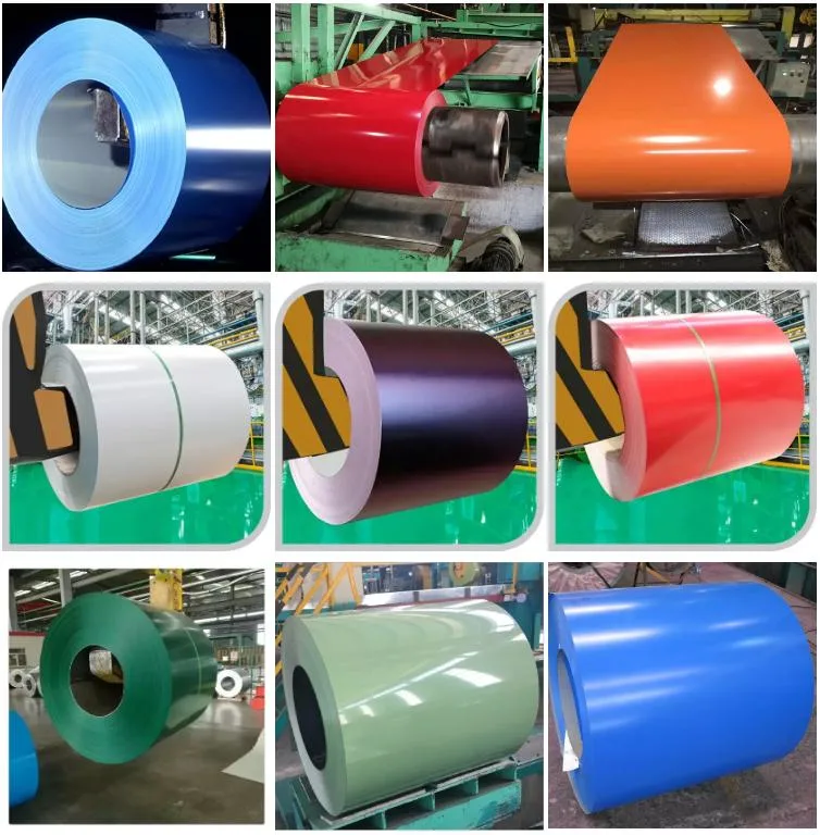 PPGI Strips Coils Prepainted Galvanized Steel Flowers Printd PPGI Steel Coil Supplier