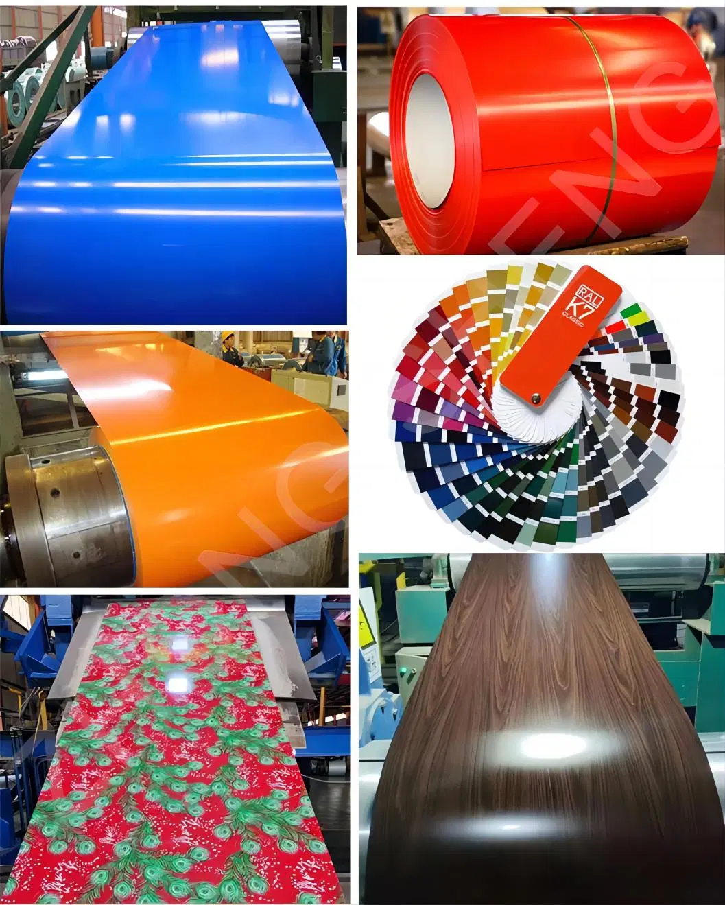 Wholesale Color Coated Roll Multi-Color Optional Custom Spot PPGI