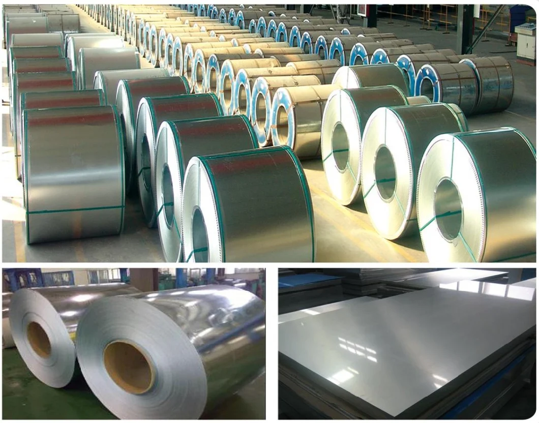 Hot DIP Galvanized Steel Sheet and Plate Coil Factory