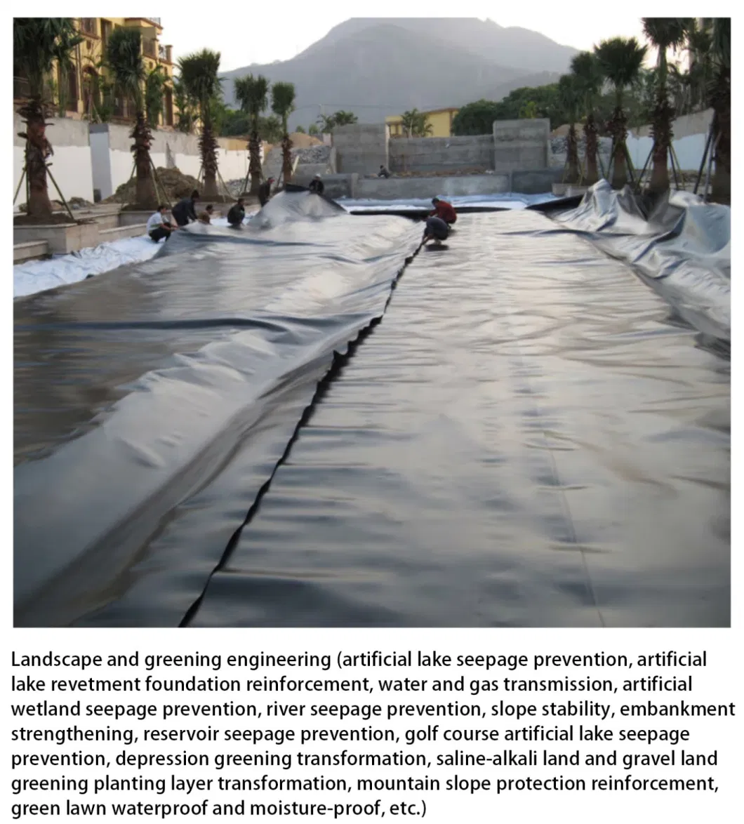 HDPE PVC 1mm Dam Pond Liner Landfill Biodigester Liners Geomembrane