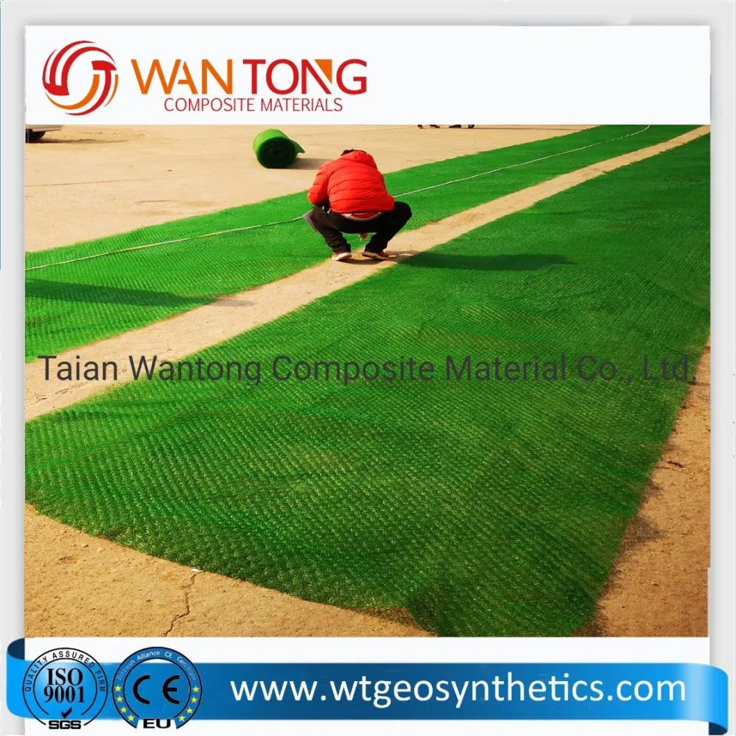 Earthwork Products Slope Protection Erosion Control 3D Geomat to Increase Vegetation Cover
