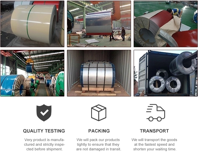 China Shengteng Brand Prepainted Galvanized Steel PPGI Coil Cold Rolled Steel Coils