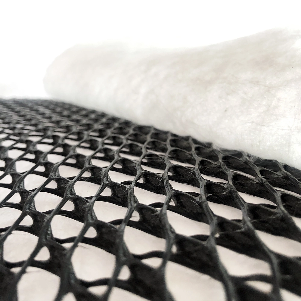 Bonded with Nonwoven Geotextile 1000G/M2 Sqm Geocomposite Geonet for Highway Drainage Price