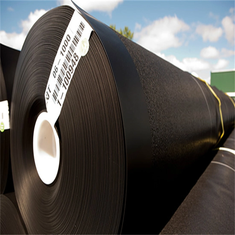 ASTM Standard HDPE Geomembrane with Two Side Geotextile