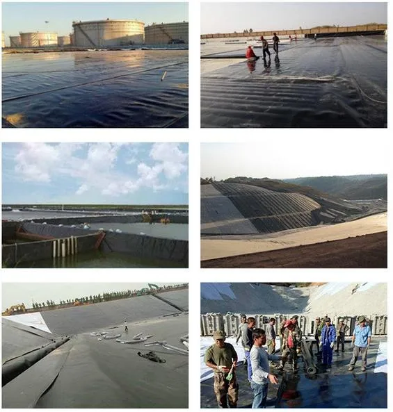 Factory Supply Prices HDPE Geomembrane for Fish /Shrimp Farming Pool Liner