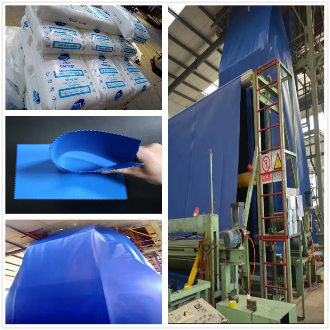 Blue Film HDPE Geomembrane for Dam/Landfill/Lake/Biogas/Mining/Fish/Shrimp Farm Pond Liner Manufacturer Price