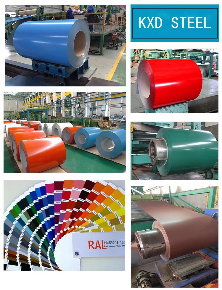 Factory Direct Supply Color Coated Steel Coil Prepainted Hot DIP Galvanized Stainless PPGI Steel Coil for House