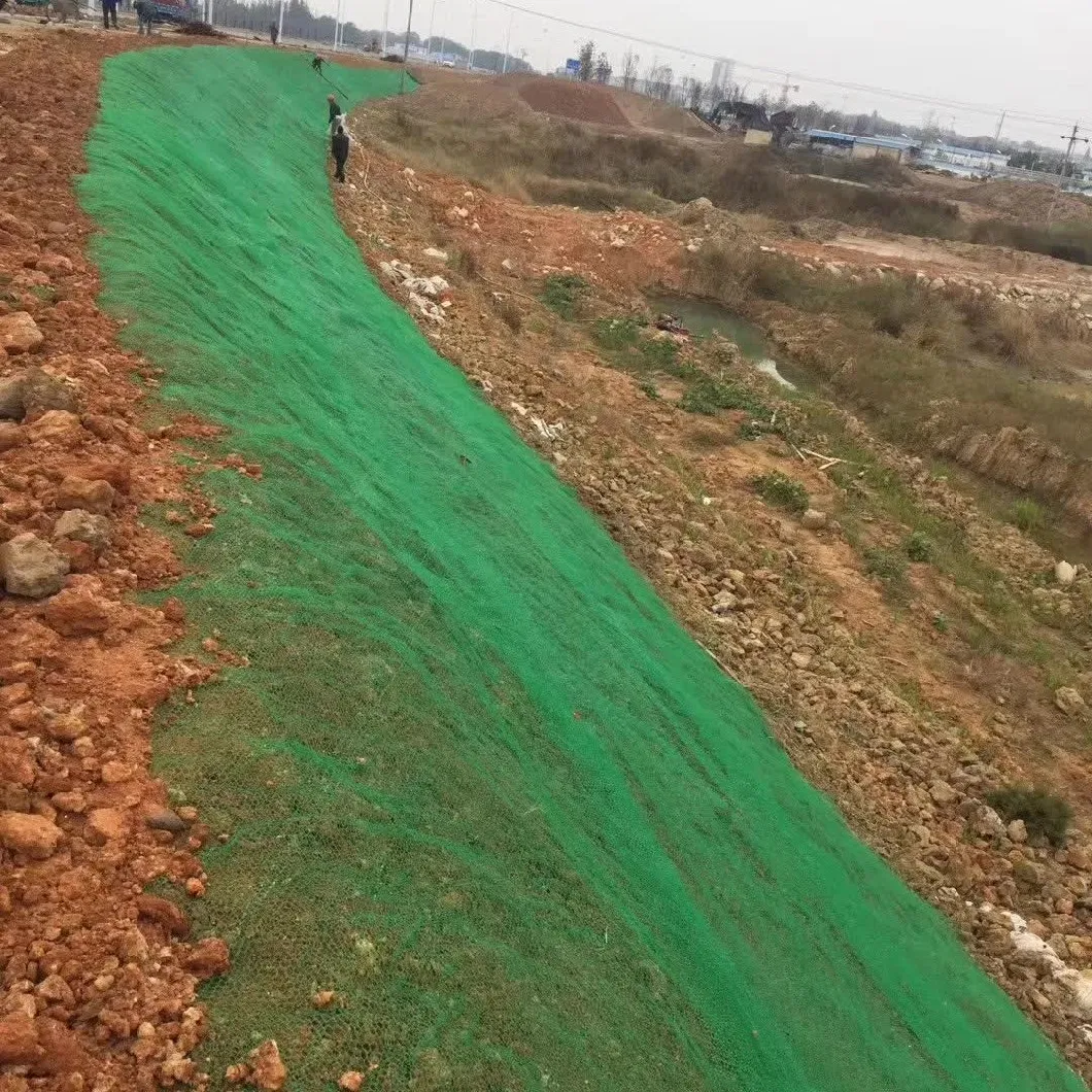 3D Geomat Erosion Control Mat HDPE Geomat for Slope Protection