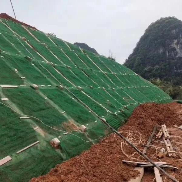 3D Geomat Erosion Control Mat HDPE Geomat for Slope Protection