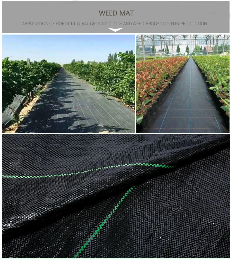 Black Color Weed Mat Woven Geotexitle Weed Barrier Fabric