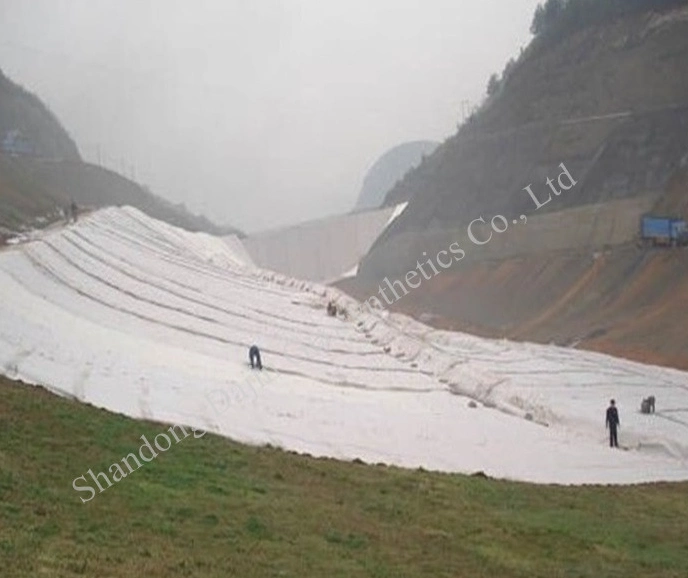 Geotextile Fabric Gravel Filter Pet Non Woven Geo Fabrics