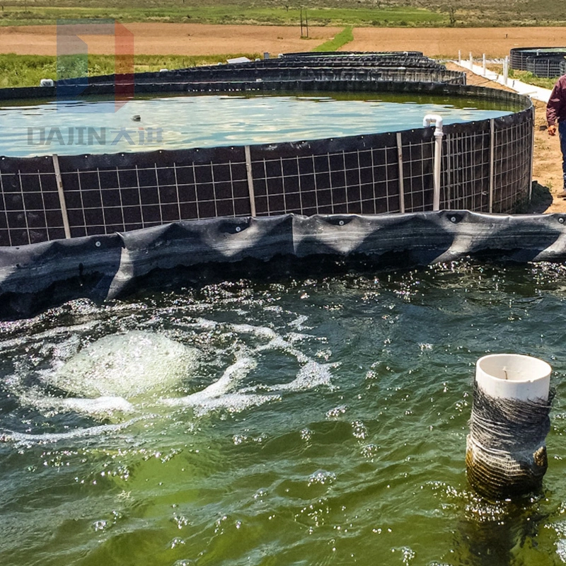 Fish Pond Liner HDPE Geomembrane for Agriculture Irrigation Water Dam Factory Price