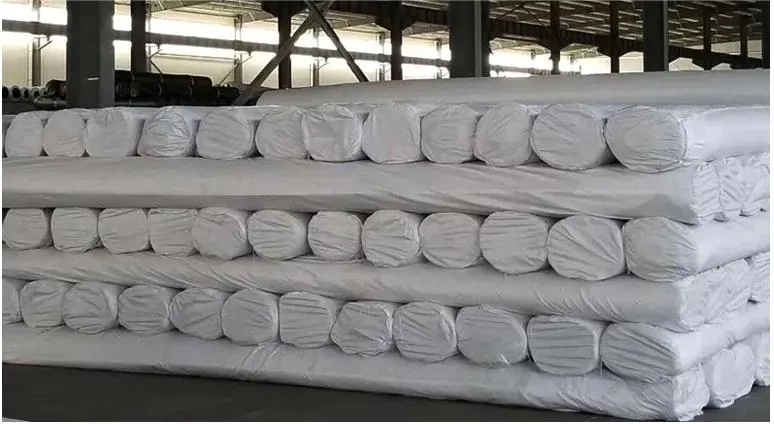 Good Sale Composite Geotextile for Soil Reinforcement and Stabilization
