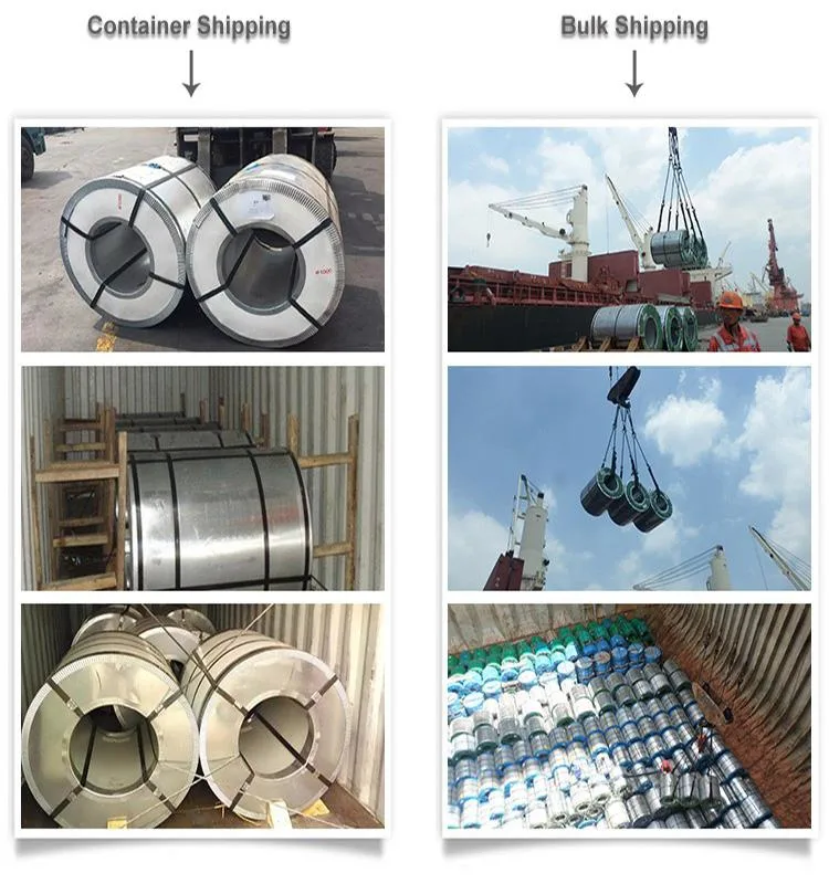 Chinese Supplier Hot Selling ASTM Prepainted Galvanized Rolled Steel Coils