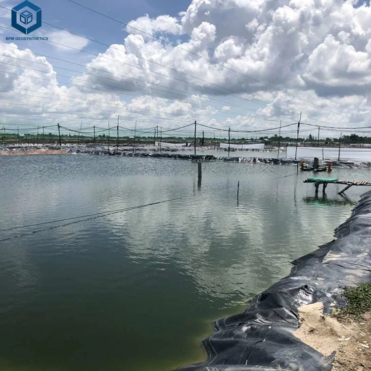 0.2mm 0.5mm 1.0mm 1.5mm 2mm 3mm High Tensile Strength Black Waterproof HDPE LDPE EPDM PVC Geomembrane Pond Pool Membrane Price for Fish Dam Lake Landfill Liner