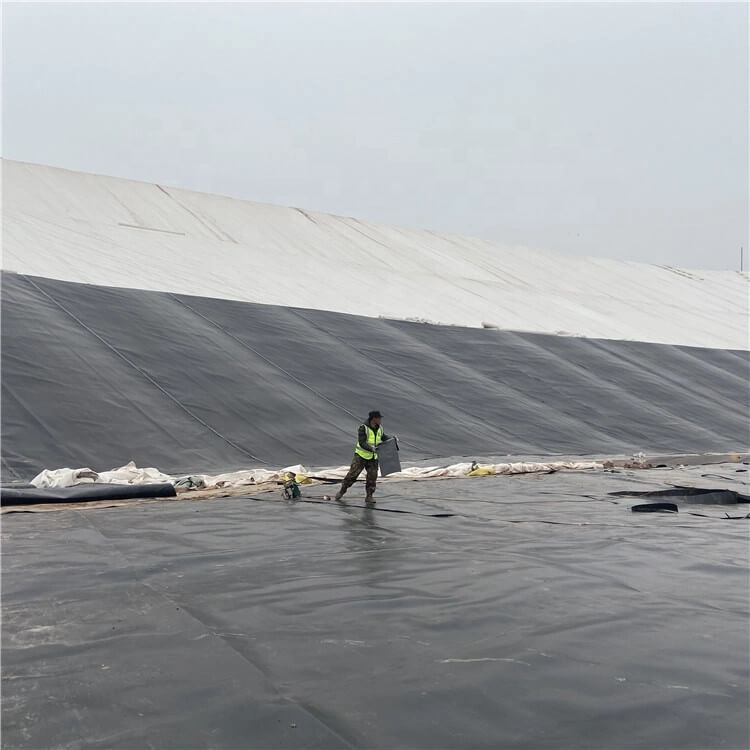 Fish Pond Liner HDPE Geomembrane for Agriculture Irrigation Water Dam Factory Price