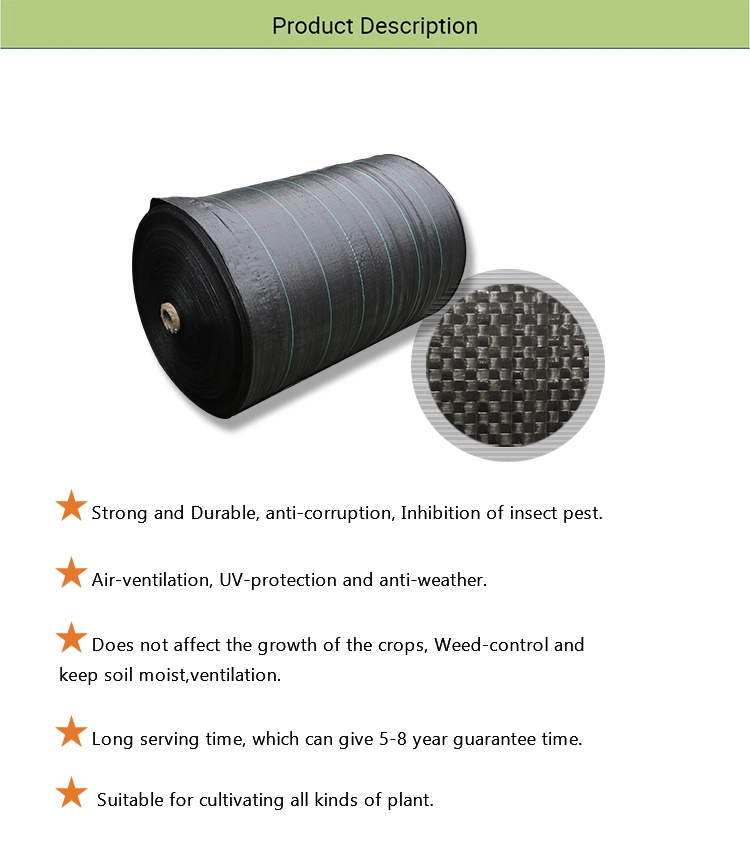 PP Woven Geotextile Anti Weed Matting Anti Weed Grass