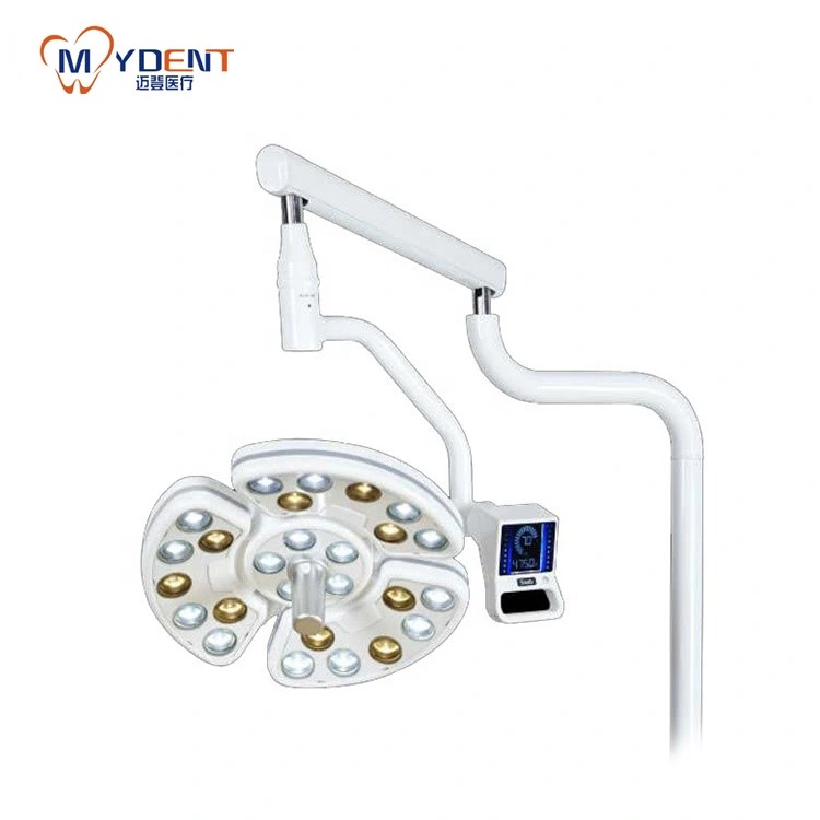 Medical Light LED Surgical Operation Lamp for Dental Chair LED Oral Lamp Shadowless for Implant Surgery