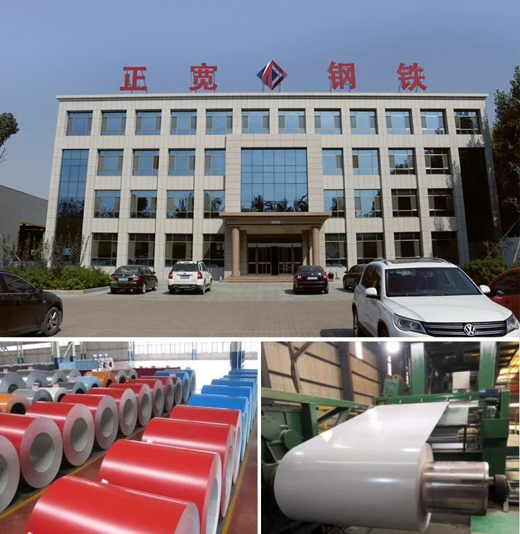 0.3mm Galvanized Metal Plate Color Coated Steel Building Material Galvalumed Roof Material Gi Gl PPGL PPGI Coil