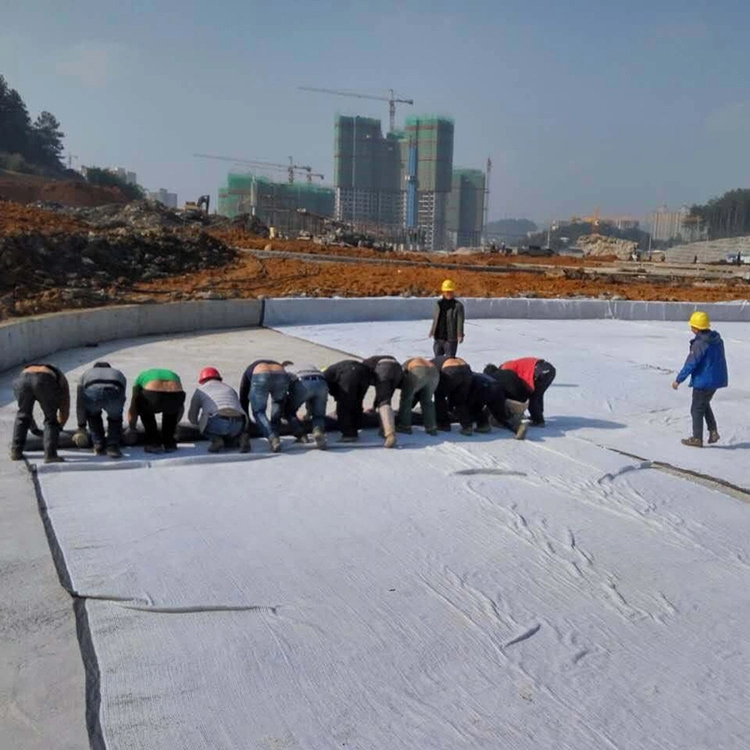 Geotextile Drainage Membrane Geotextile Filtration Geo Textile Fiber Non Woven Geo Fabric Separation Fabric for Mining in Laos