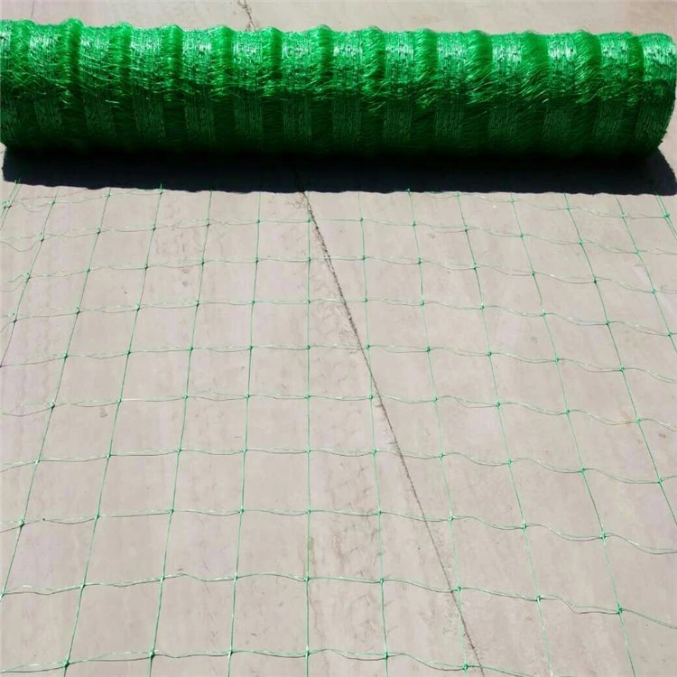 100%New for Vegetable Nursery Cucumber Netting Vine Netting