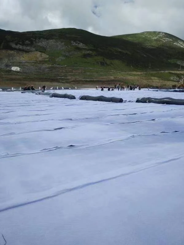 Polypropylene Short Fabric PP Non-Woven Geotextile Filtration Drainage Separation for Contruction Materials
