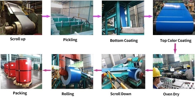 China Shengteng Brand Prepainted Galvanized Steel PPGI Coil Cold Rolled Steel Coils