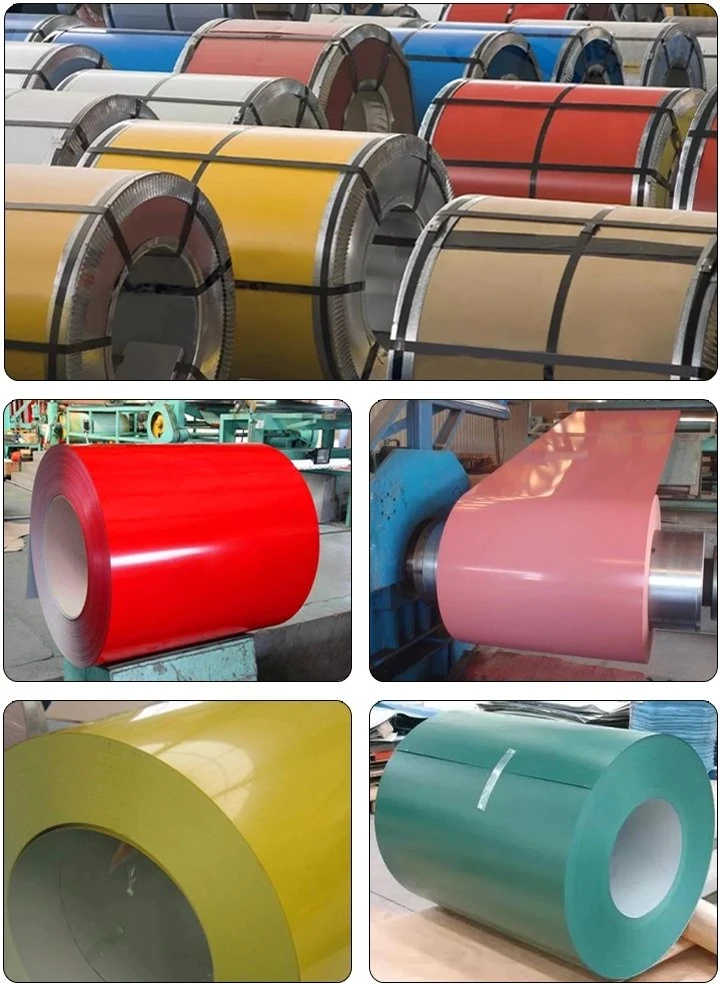 China Shengteng Brand Prepainted Galvanized Steel PPGI Coil Cold Rolled Steel Coils