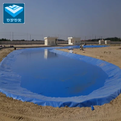  Blue Film Geomembrane HDPE per diga/discarica/lago/biogas/estrazione mineraria/pesce/gamberi Produttore di liner per laghetti per aziende agricole Prezzo