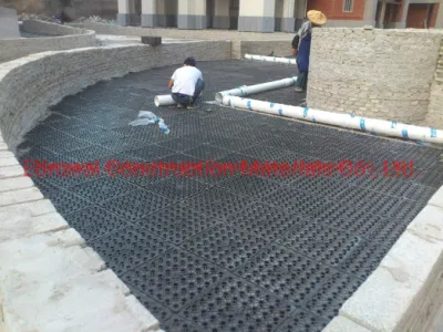 Cina Hot sale HDPE dimple membrana bordo di drenaggio nero