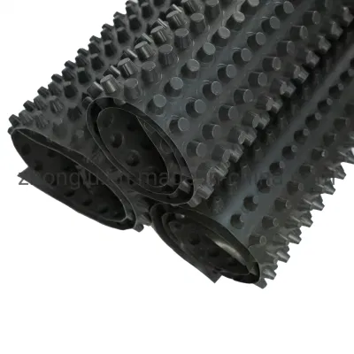 Altezza regolabile 8mm tetto impermeabilizzante per giardino cella di scarico in plastica HDPE Scheda di drenaggio