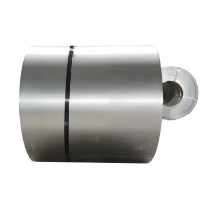 Fornitore spirale in acciaio galvanizzato prinizzato da 0,5 mm