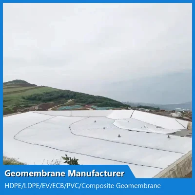 Cina geomembrane composite Produttore per conservazione delle acque/industria chimica/costruzione/Trasporti/Metropolitana/Tunnel/smaltimento rifiuti/Tunnel Railway