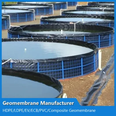 HDPE/LDPE/PE/EV/ECB/PVC personalizzato Geomembrane composite/tessili Produttore di acquicoltura/allevamento ittico/gamberi/laghetto/diga/discarica/miniera/sale/rivestimento per la chiodatura