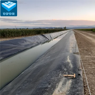 Prezzo di fabbrica pellicola impermeabile HDPE liscia/tessuto membrana per laghetti geomembrane Per l′agricoltura Lanfill Dam Lake Road Mine serbatoio chimico acqua Serbatoio