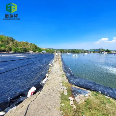 Rivestimento artificiale per laghetti al lago in HDPE da 60 mil, 0,5 mm, 1 mm Fogli di rivestimento di DAM Geomembrane HDPE Filippine