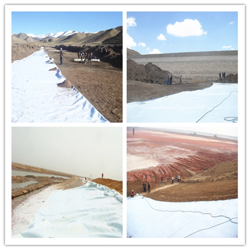 Anti Leakage Liner Compound Geomembrane with Geotextile/1.5mm for Building Landfill Cell