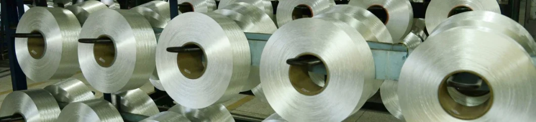 1000d High Tenacity Regular Shrinkage Polyester Industrial Filament for Webbing