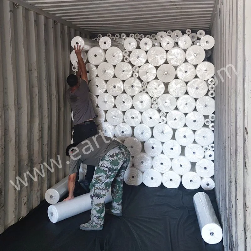 Customized Woven and Non-Woven Geotextile for Drainage/Landfill Projects