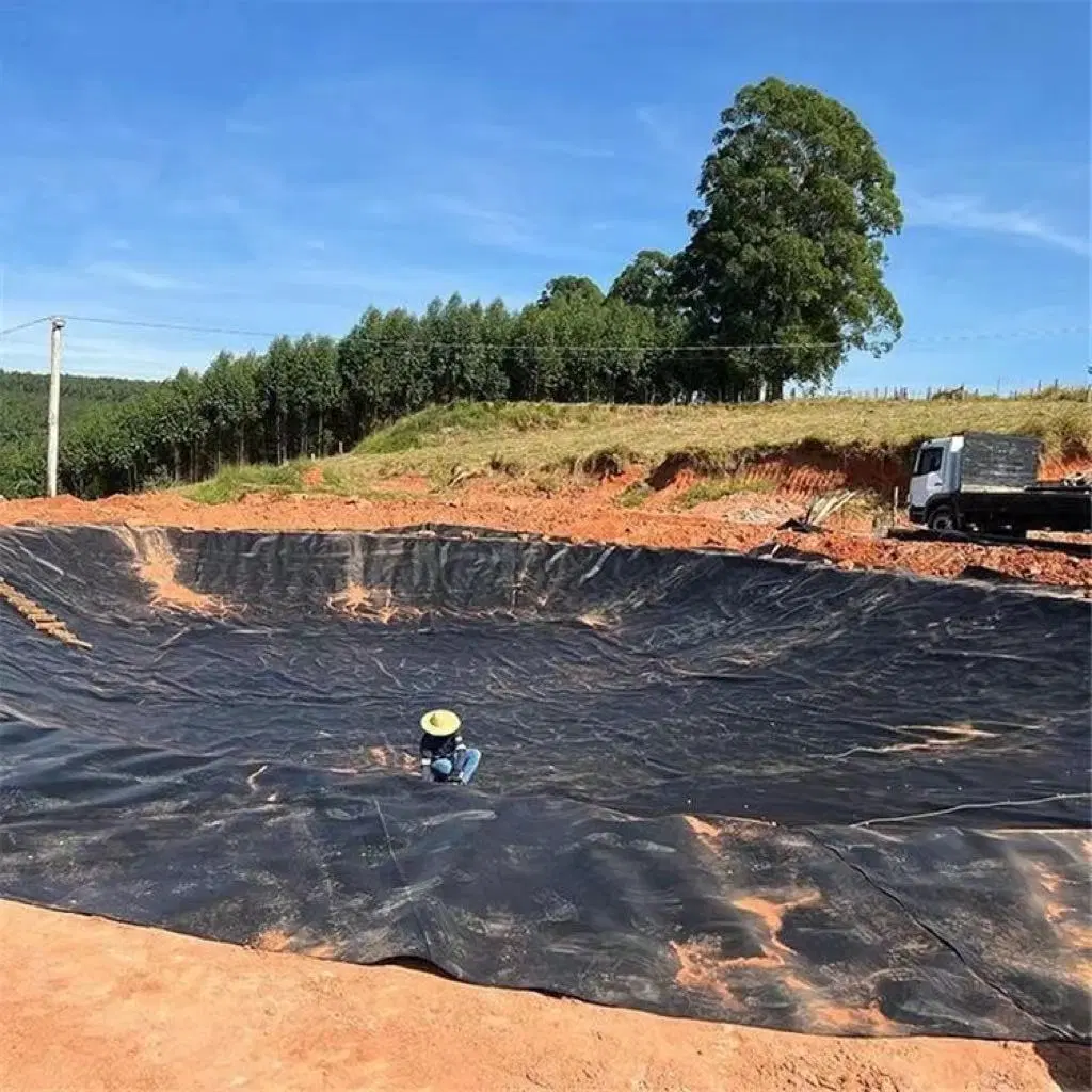 Sewage Tank Lining with HDPE Geomembrane for Chemical Plants