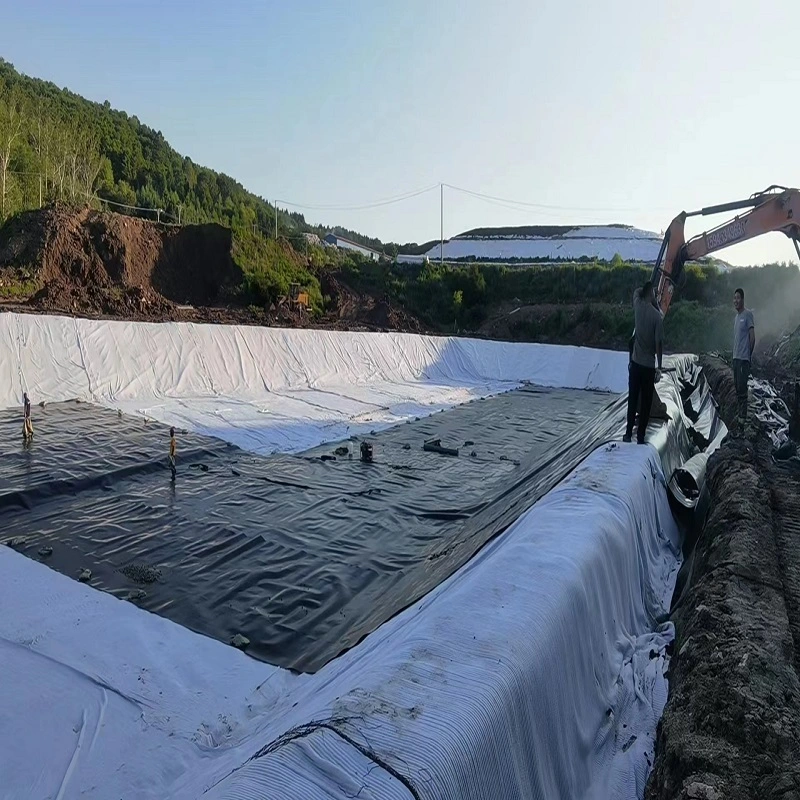 Customized HDPE/LDPE/PVC/EVA Waterproof Pond Dam Liner Textured/Composite/Geomembrane for Landfill Mining Agriculture