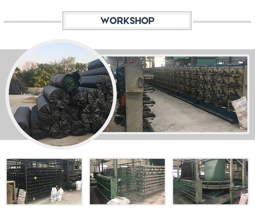 ISO Certified Woven Fabric Stabilization PP Woven Geotextile for Soil Reinforcement