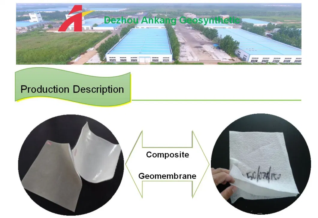 Pet / PP Nonwoven Geotextile Coated HDPE Geomembrane Waterproof Composite Geomembrane